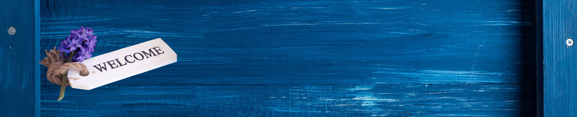 Banner-header